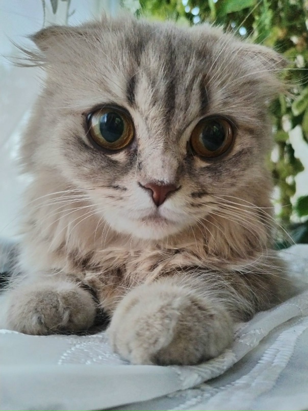 Александр Терехов | Магнитогорск