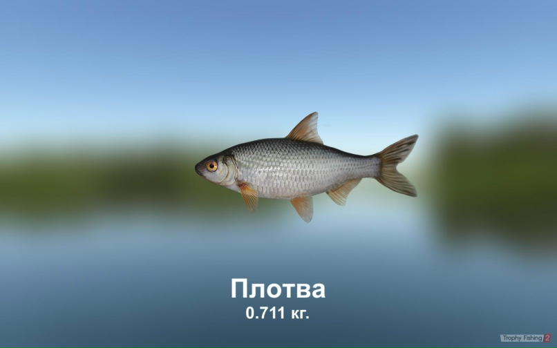 Сергей Борисов | Арзамас