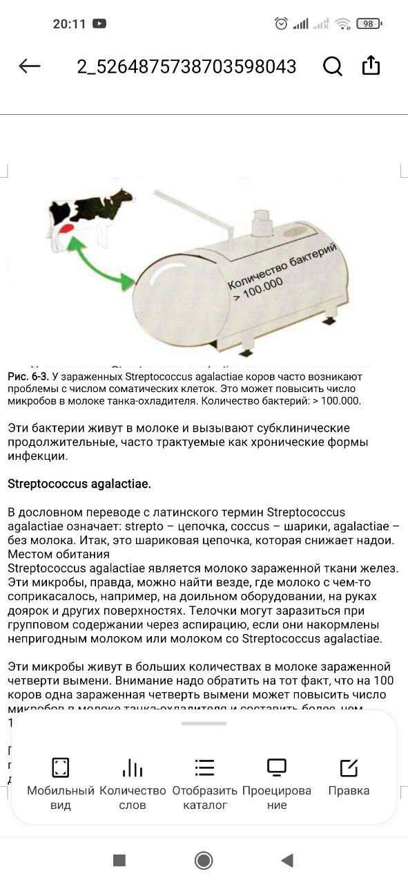 Евгений Набоков El Magnifico | Monaco