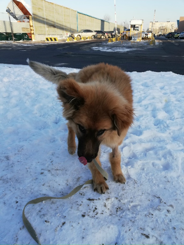 Светлана Лозинская | Санкт-Петербург