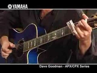 Yamaha APX/CPX 700 & 900