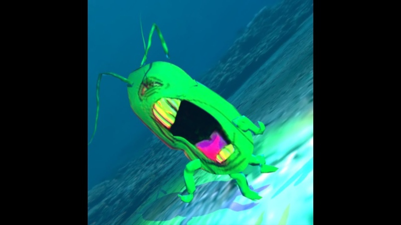 Plankton Knows