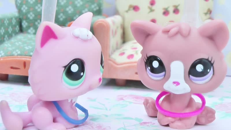 Lps: ЗАПРЕТНЫЕ ОТНОШЕНИЯ 1