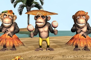 Funny Happy Birthday Song. Monkeys sing Happy Birthday To You