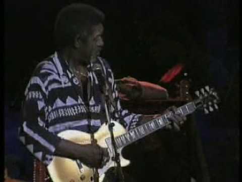 Luther Allison Living in the house of the
