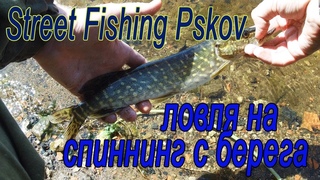 Street Fishing Pskov ловля на спиннинг с берега
