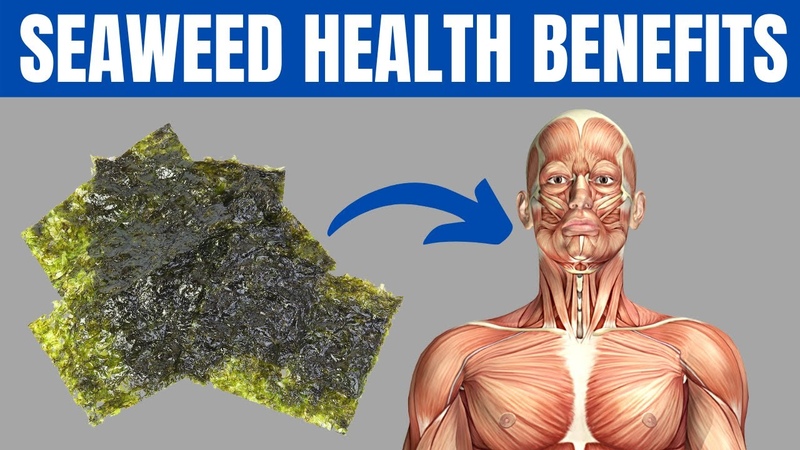 SEAWEED BENEFITS 15 Amazing Health Benefits of Seaweed You Should