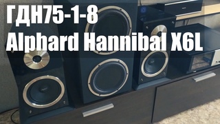 Колонки своими руками. Динамики ГДН75-1-8 и Alphard Hannibal X6L