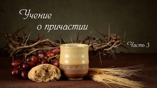 Сергей Витюков. Учение о причастии. Часть 3