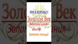 ЗРИ В КОРЕНЬ!!! ЗОЛОТАЯ СКИНИЯ ГОСПОДУ ВМЕСТО ЗОЛОТОГО ТЕЛЬЦА! #shorts