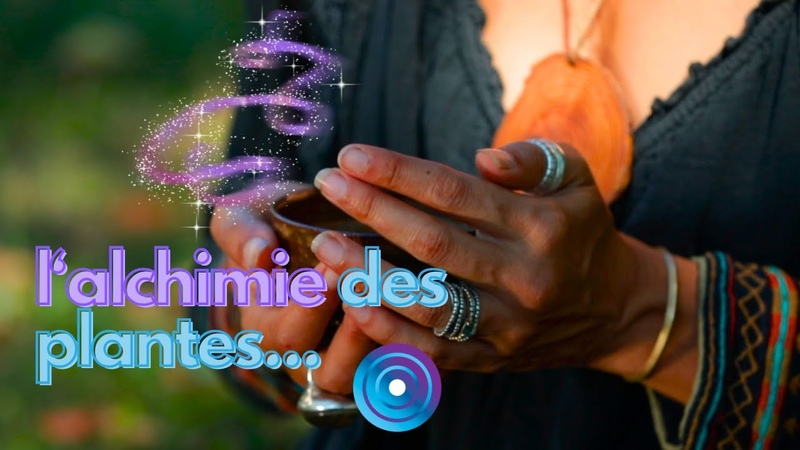 Étudier la magie se replacer au cœur de la