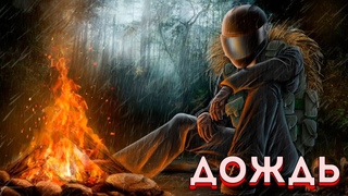 DAYZ PARADISE | ДОЖДЬ [4K]