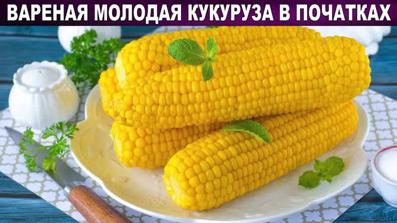 КАК ВАРИТЬ МОЛОДУЮ КУКУРУЗУ В ПОЧАТКАХ Для быстрого,