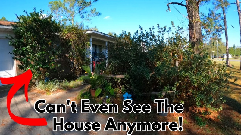 Free Front Yard Makeover For Elderly Widow In