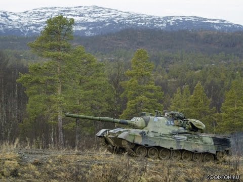 leo 1 stb 1. Как
