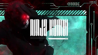 roseboi, FREE FLOW FLAVA - NINJA KAMUI (2024)