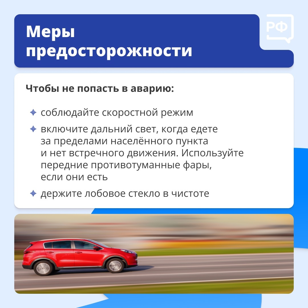 Животные на дороге часто непредсказуемы.