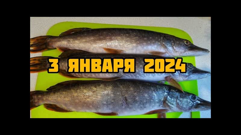 ЗИМА, МОРОЗ И ВКУСНАЯ РЫБА: Готовлю соломку из