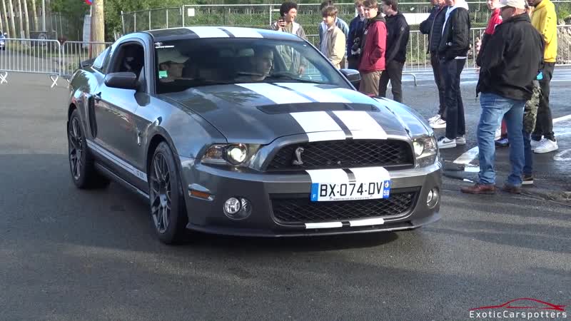 BEST OF Ford Mustang Sounds Alphamale Widebody, 400 HP Ecoboost Mustang, GT350 R, Roush