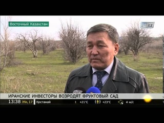 Иранские инвесторы возродят фруктовый сад в Восточном Казахстане