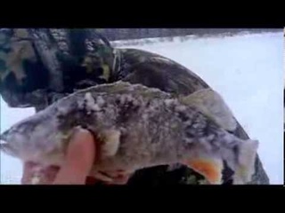 ЗИМНЯЯ РЫБАЛКА