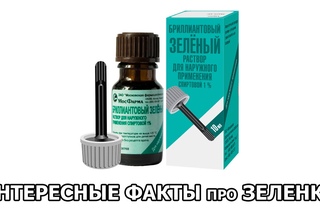 ИНТЕРЕСНЫЕ ФАКТЫ про ЗЕЛЕНКУ