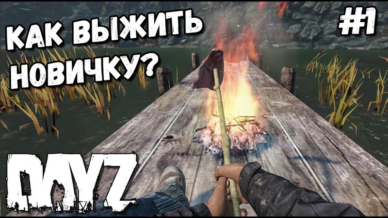КАК ВЫЖИТЬ НОВИЧКУ В DAYZ В 2020 ,1 КАК ДОБЫТЬ ЕДУ И