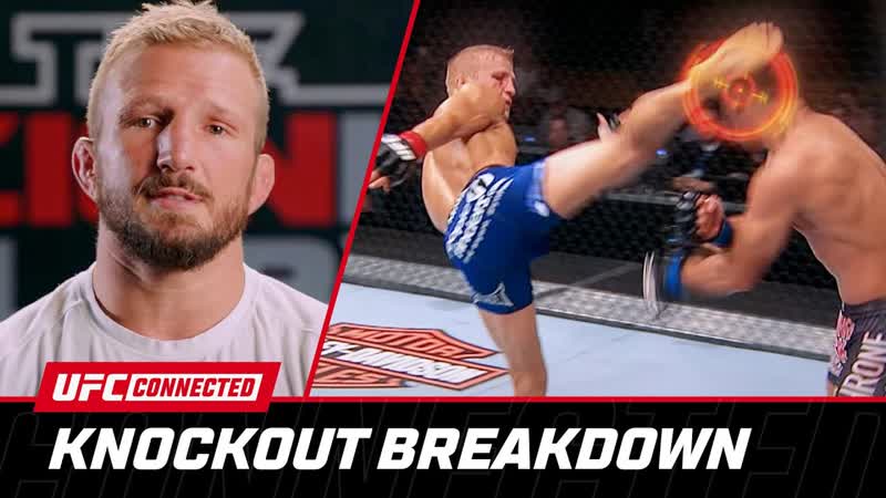 TJ Dillashaw Breaks Down the Perfect Knockout, UFC