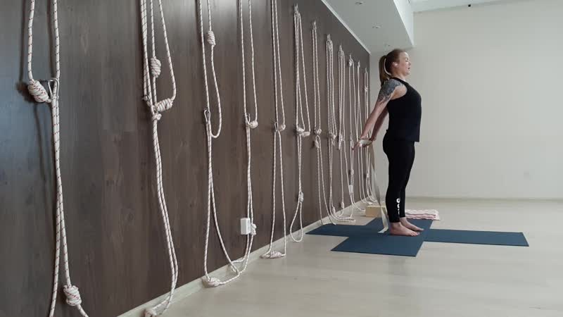 ЙОГА С НУЛЯ Ознакомительное занятие 1. Йога Айенгара.