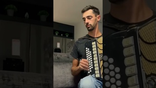 Filipe Marcelo  e uma modinha muito bem tocada. #musica #accordion #music #folk #folclore #folkmusic
